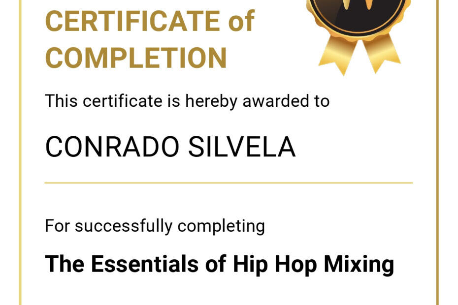 Waves The Essentials of hip hop mixing
